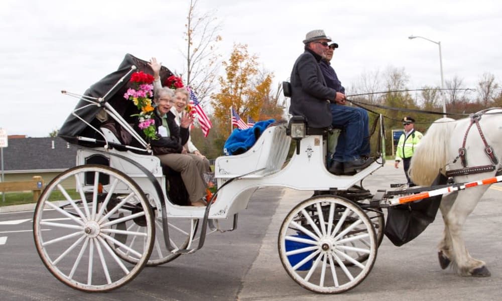Residents enjoying a horse-drawn carriage ride at Ashton Gardens